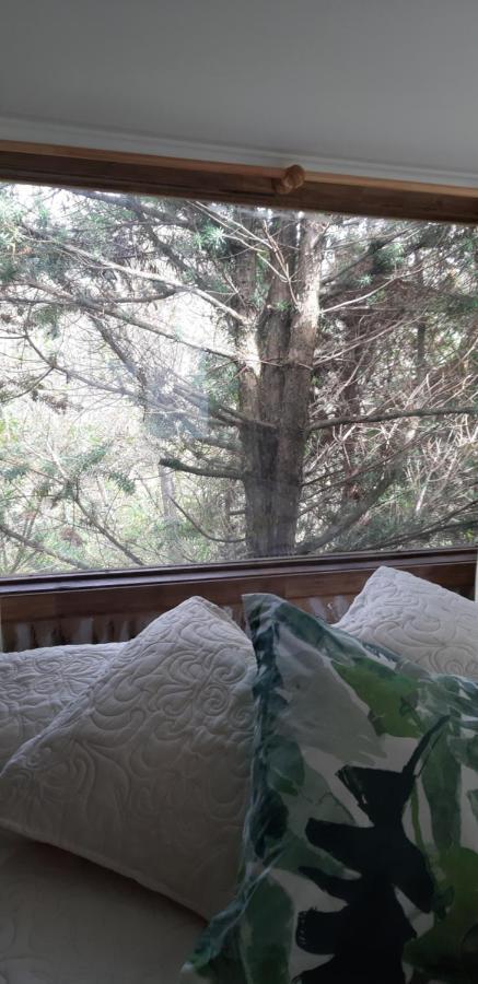 Eco Cabana Puerto Varas Bagian luar foto